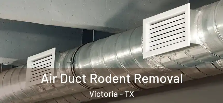  Air Duct Rodent Removal Victoria - TX