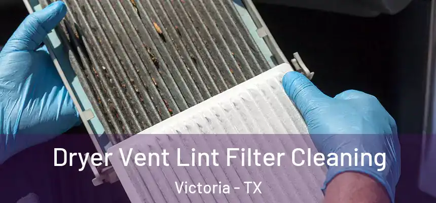  Dryer Vent Lint Filter Cleaning Victoria - TX