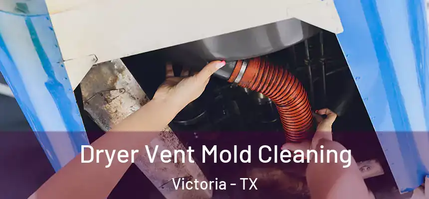Dryer Vent Mold Cleaning Victoria - TX