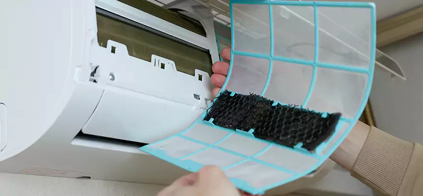 Gentle Ductwork Odor-Control Pet Dander Duct Cleaning in Victoria, TX