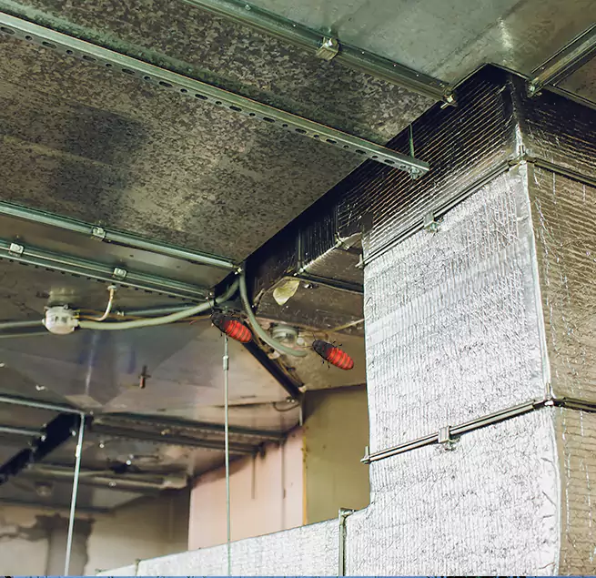 Why Homeowners & Businesses Trust Us in Victoria, TX?