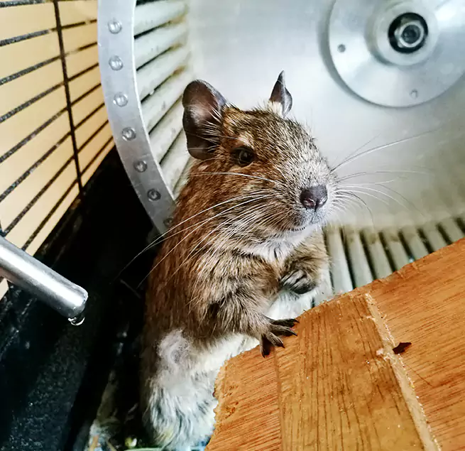 Why Homeowners & Businesses Trust Us Victoria, TX