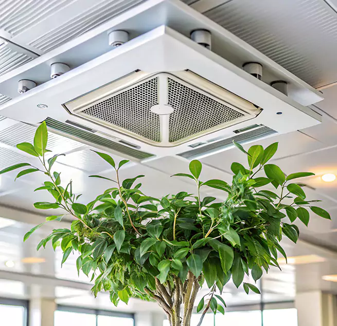 Why Homeowners & Businesses Trust Us in Victoria, TX